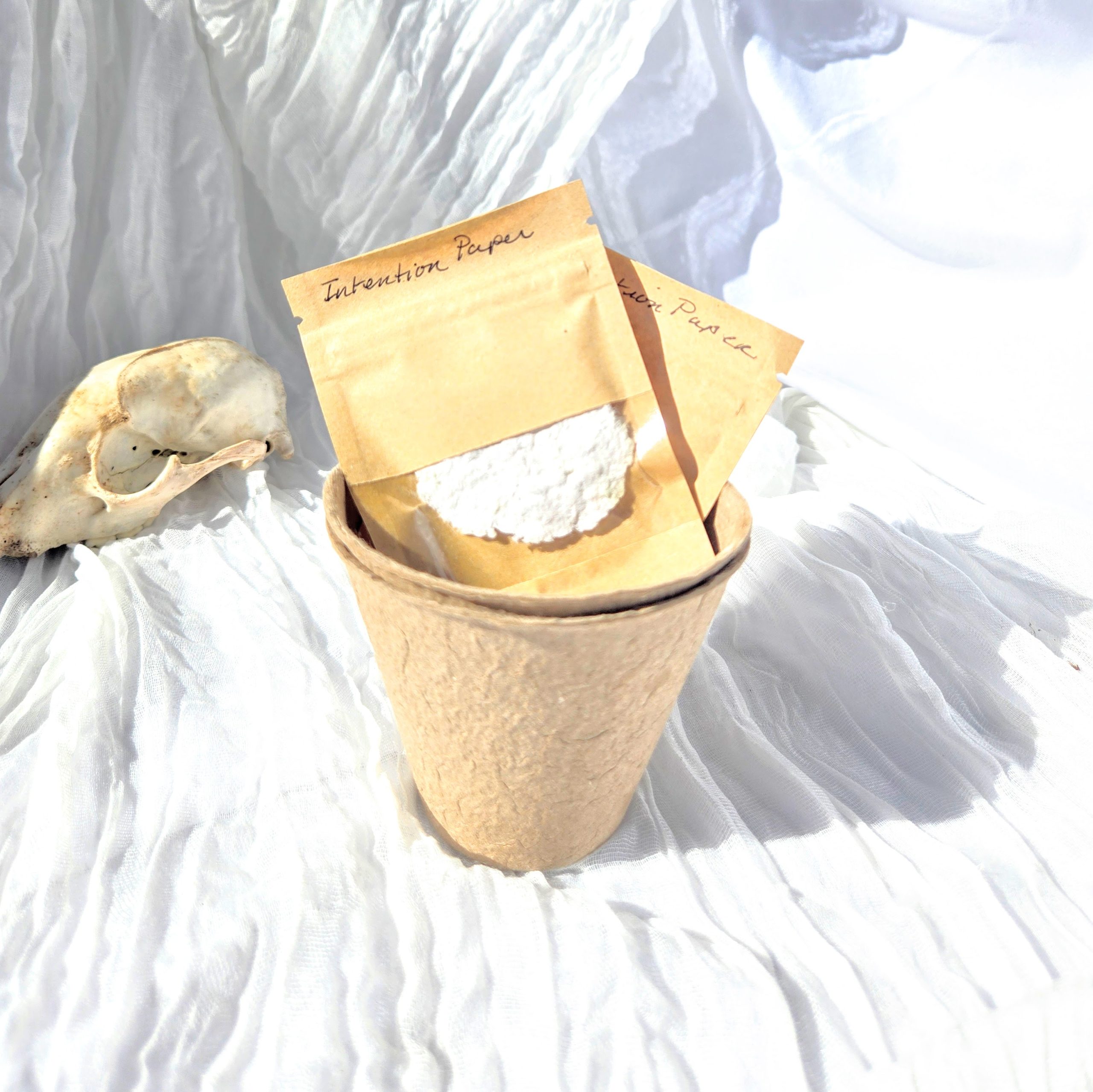 Intention Planting Kit - Image 3